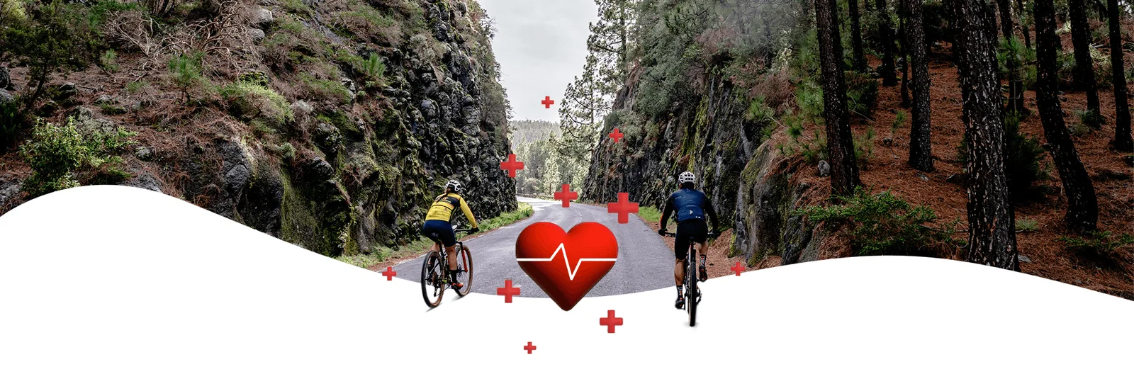 Cycling: a healthy lifestyle in motion