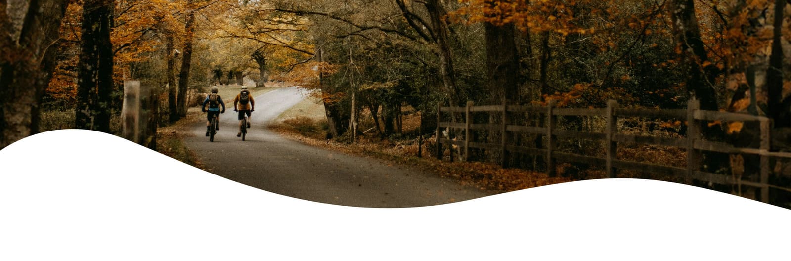 Cycling in autumn: embrace the season on two wheels